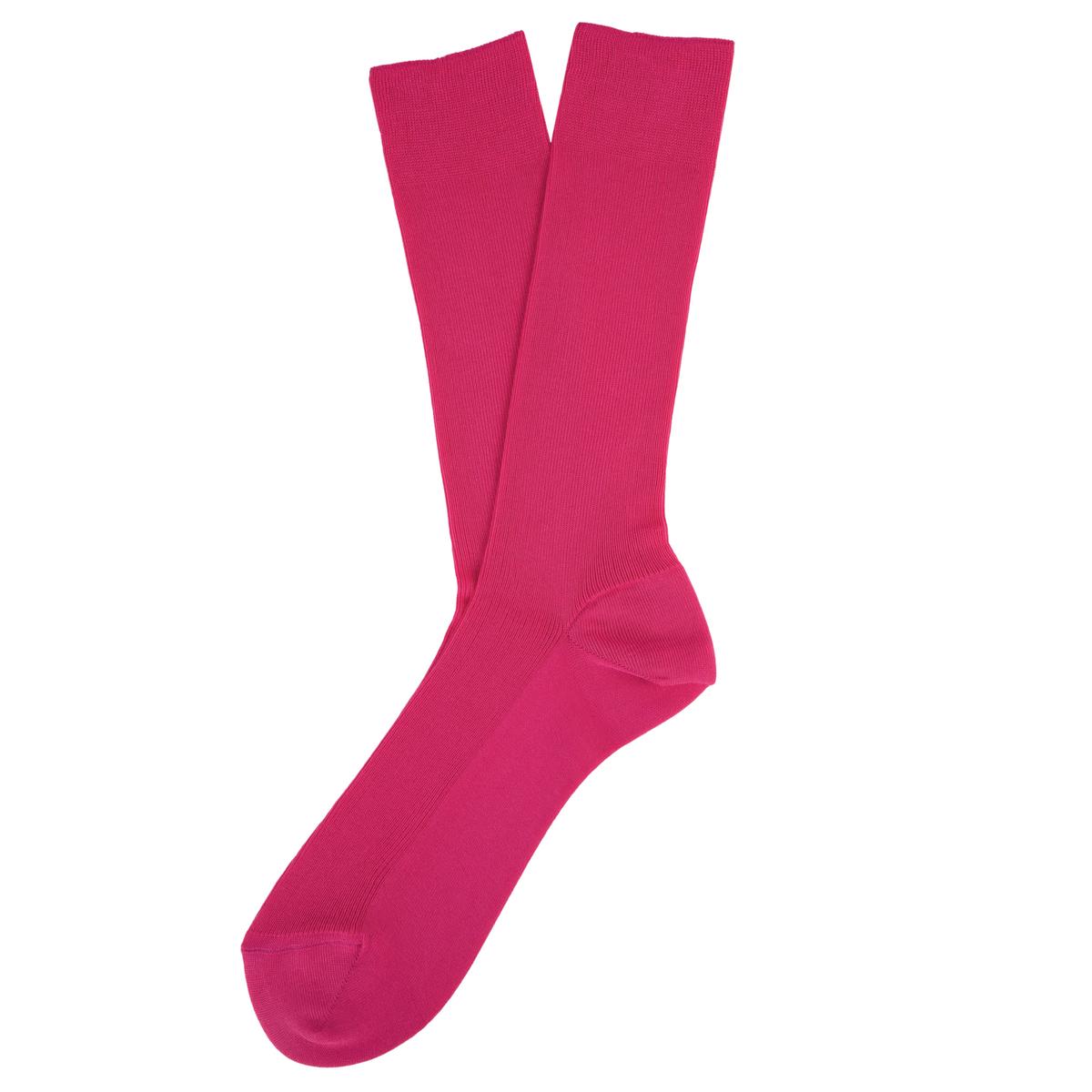 product/s/p/spasso_sp800-raspberrysorbet_raspberry-sorbet_1.jpg