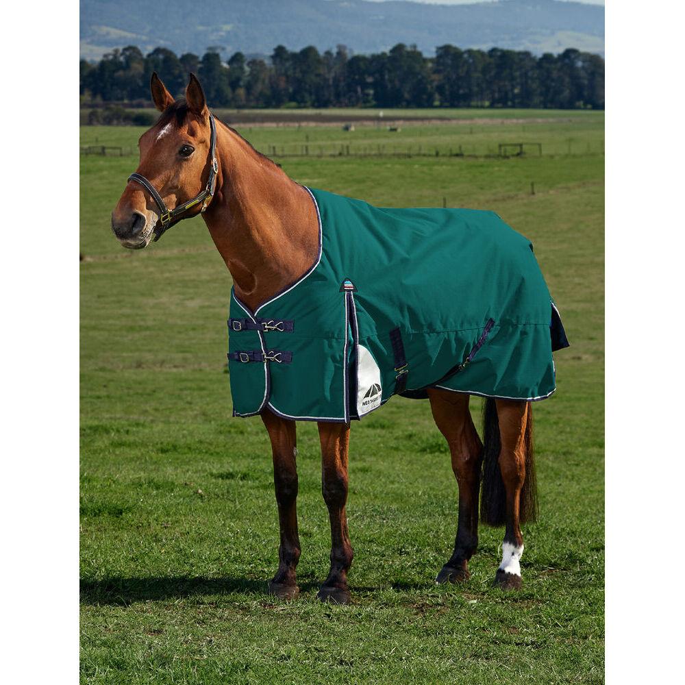 product/w/e/weatherbeeta-1029008001-forest-green-navy-2.jpg
