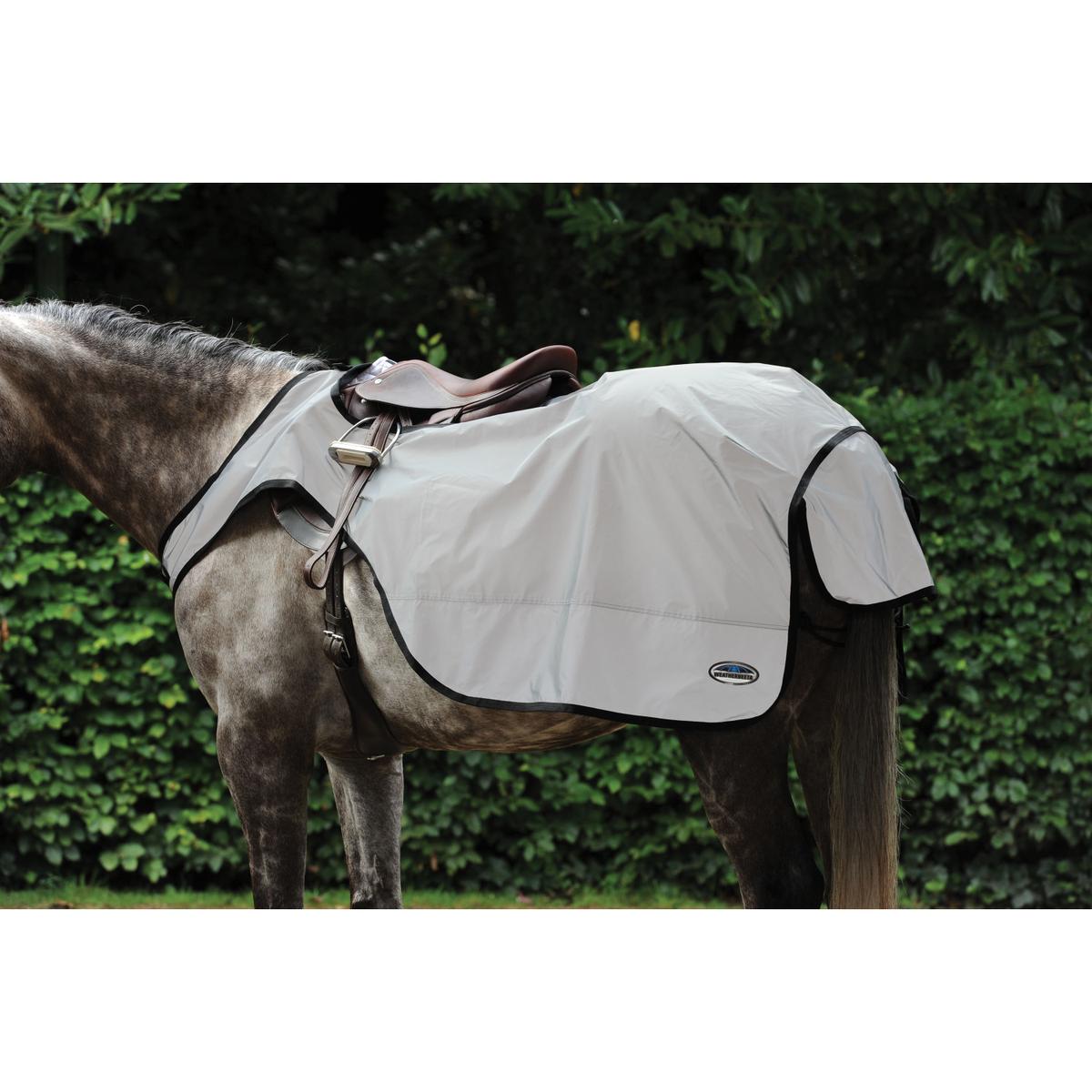 product/w/e/weatherbeeta_1004324001_1.jpg