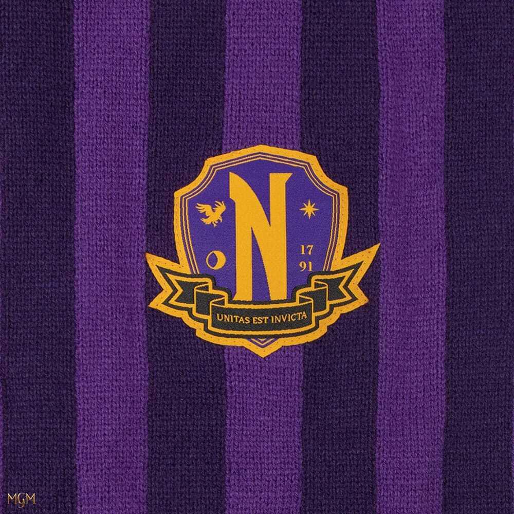 product/c/i/cinereplicas_cr61522_violet_5.jpg