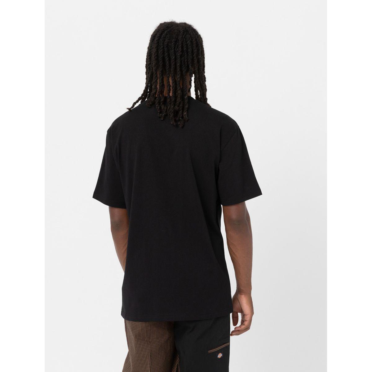 product/d/i/dickies_dk0a4yfcblk1_black_2.jpg