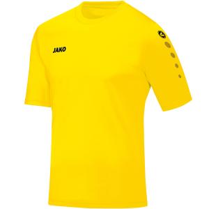 4233-u-03-koszulka-jako-team-zolcien-cytrynowa