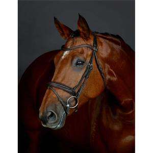 1025193005-podkowy-jezdzieckie-flash-hanowerskie-z-wysciolka-collegiate-comfitec-opulux-ciemny-braz