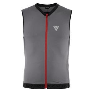 2048700003-93i-kamizelka-ochronna-na-plecy-dainese-flexagon-2-silver-filigree-castle-rock