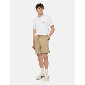 dk0a4xb2ds01-szorty-bermudzkie-dickies-pelican-rapids-piasek-pustyni