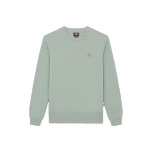 dk0a4xcek361-bluza-dickies-oakport-gora-lodowa-zielona
