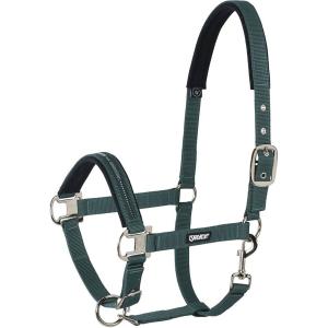 410000-816-590-kantar-dla-koni-eskadron-pin-buckle-racinggreen
