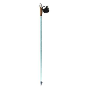 r306501-kijki-do-nordic-walking-guidetti-vent-des-fjords-ut50-toundra-niebieski-brazowy-czerwony
