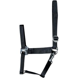 31000925-zwart-kantar-dla-koni-harry-s-horse-economy-zwart