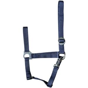 31000925-navy-kantar-dla-koni-harry-s-horse-economy-marynarka