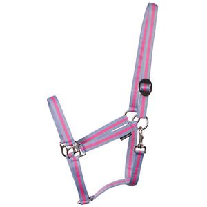 31000925-lichtblauw-roze-lichtblauw-kantar-dla-koni-harry-s-horse-economy-lichtblauw-roze-lichtblauw