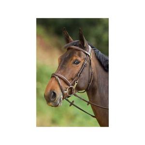 hfi003br-uzda-jezdziecka-hfi-functional-brazowy
