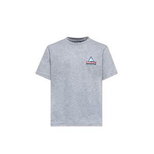 ss22m001-gb16-koszulka-holubar-logo-jj20-szary