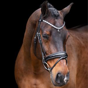 ho40323005-9545-uzda-jezdziecka-imperial-riding-olympia-czarny-srebrny