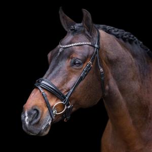ho40323005-9584-uzda-jezdziecka-imperial-riding-olympia-czarny-rozowe-zloto