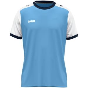 4270-u-431-dzersej-z-okraglym-dekoltem-jako-dynamic-blekit-nieba-bialo-niebieski-niebieski
