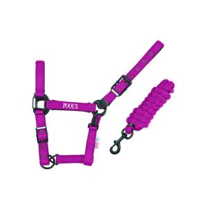ca00027k-fucsia-nylonowy-kantar-dla-konia-z-skorzanym-wzmocnieniem-pool-s-ca00027k-fucsia