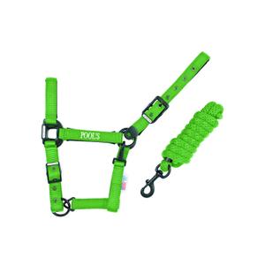 ca00027k-lime-nylonowy-kantar-dla-konia-z-skorzanym-wzmocnieniem-pool-s-ca00027k-lime