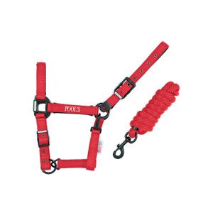 ca00027k-red-nylonowy-kantar-dla-konia-z-skorzanym-wzmocnieniem-pool-s-ca00027k-red