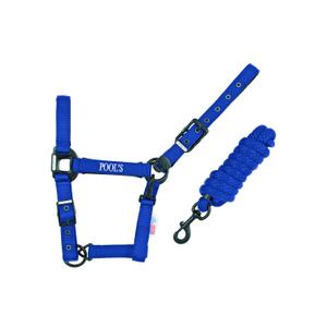 ca00027k-royalblue-nylonowy-kantar-dla-konia-z-skorzanym-wzmocnieniem-pool-s-ca00027k-royalblue