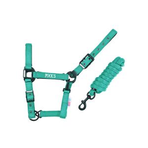 ca00027k-turquoise-nylonowy-kantar-dla-konia-z-skorzanym-wzmocnieniem-pool-s-ca00027k-turkusowy