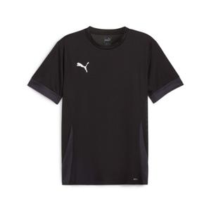 705747-03-koszulka-puma-teamgoal-matchday-czarny