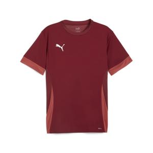 705747-09-koszulka-puma-teamgoal-czerwony