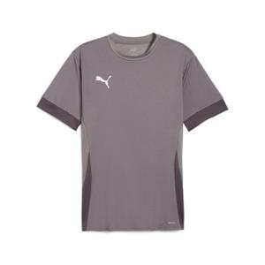 705747-13-koszulka-puma-teamgoal-matchday-szary