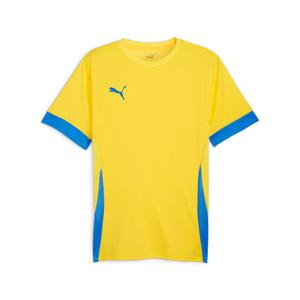 705747-17-koszulka-puma-teamgoal-zolty