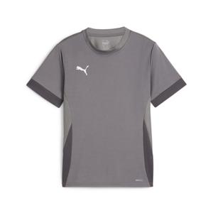 705748-13-koszulka-treningowa-dla-dzieci-puma-teamgoal-szary