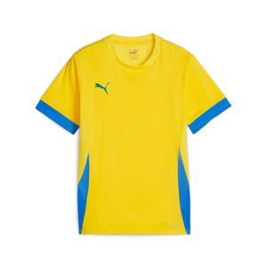 705748-17-koszulka-treningowa-dla-dzieci-puma-teamgoal-zolty