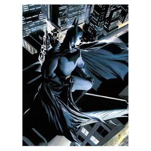 8435450223907-szklany-plakat-sd-toys-dc-comics-batman-czarny-niebieski-szary-30x40-cm