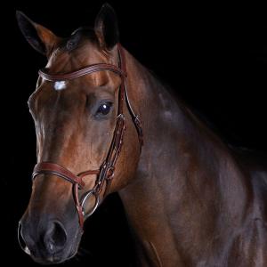 816079-818444-uzda-treningowa-dla-konia-weatherbeeta-collegiate-comfitec-brazowy